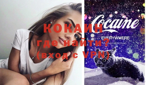 индика Алзамай