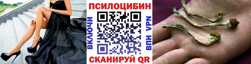 как найти   Кострома  Псилоцибиновые грибы мухоморы 
